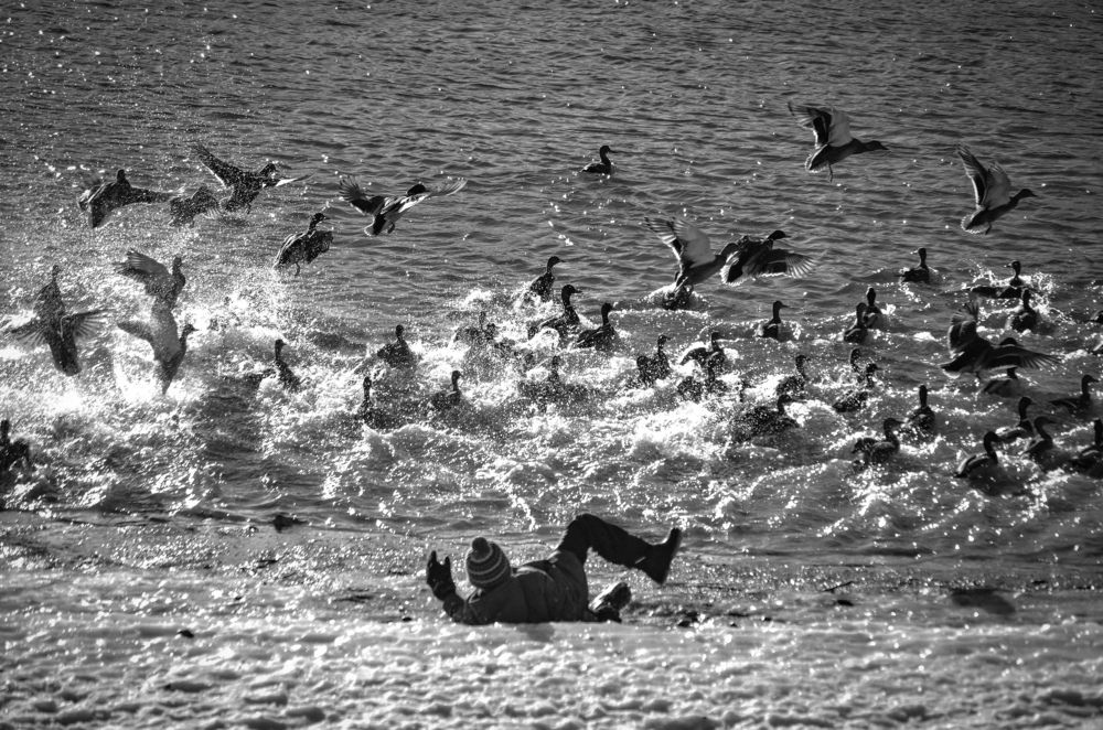 Photograph by Дарья Маркина