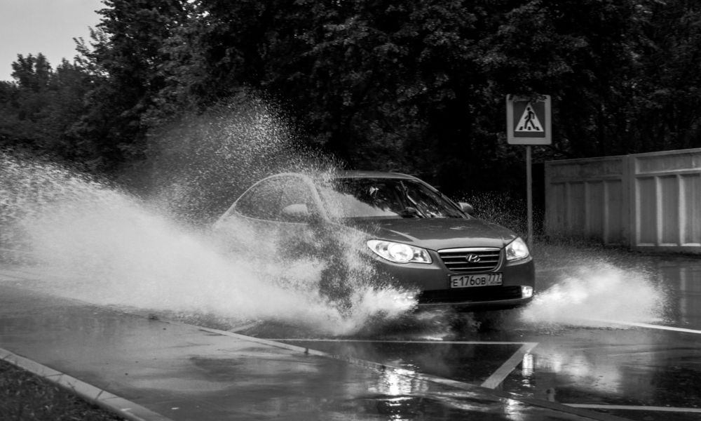 Photograph by Ольга Заповедная