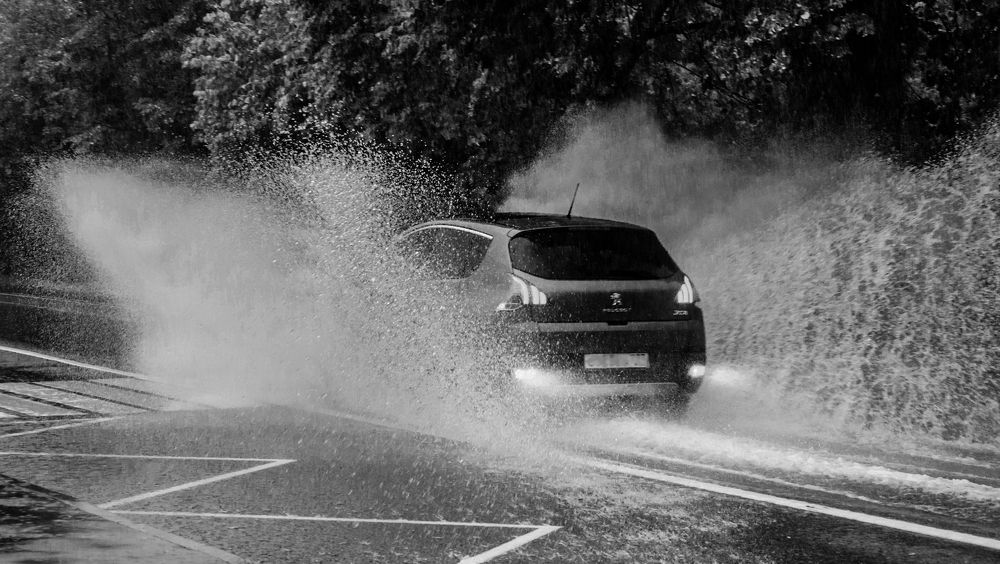 Photograph by Ольга Заповедная