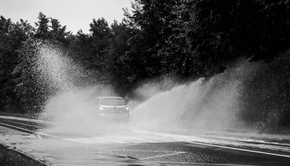 Photograph by Ольга Заповедная