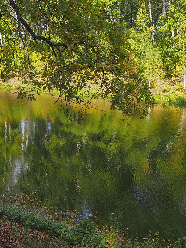 Photograph by Larisa Usova