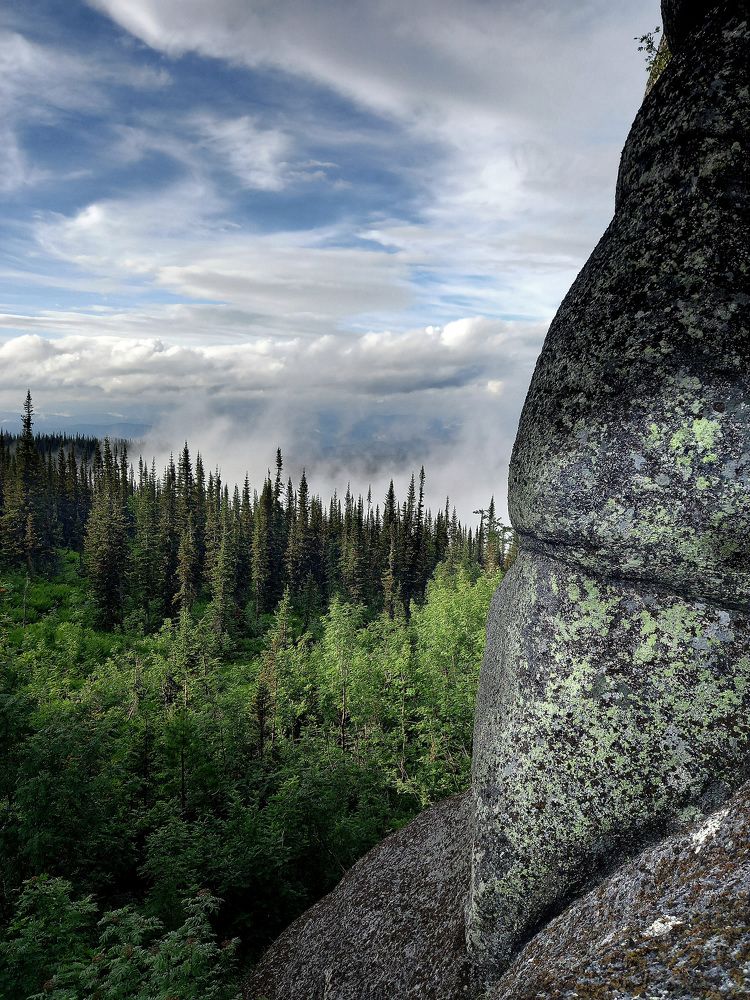 Фотография автора Любовь Харина