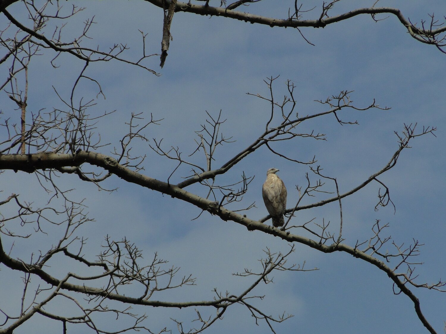 Photo #8589110