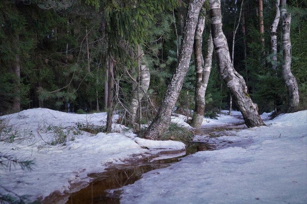 Photograph by Марина Безенкина