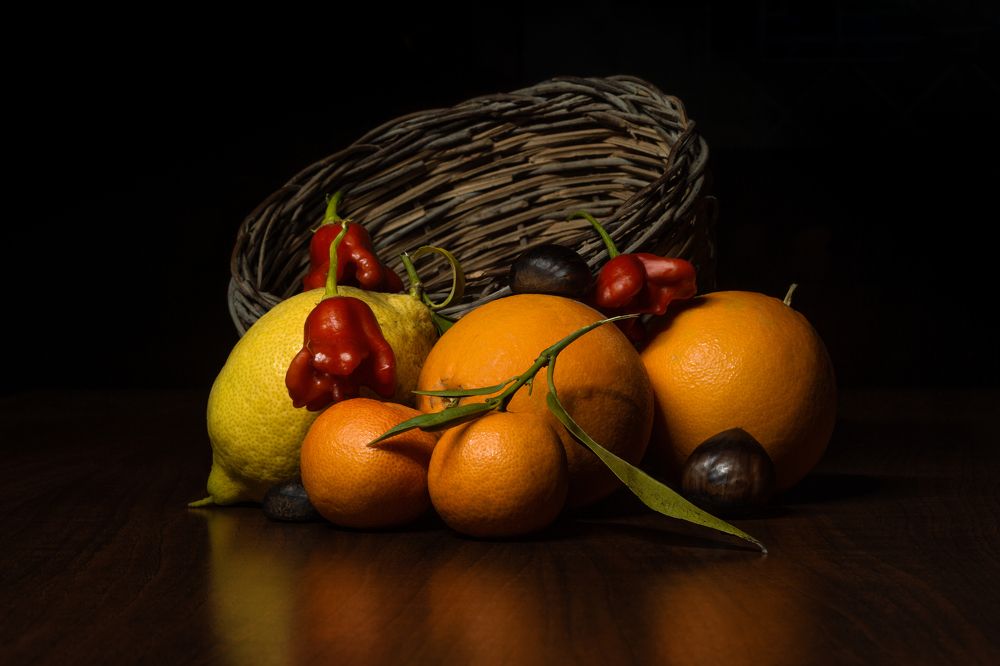 Photograph by Guido Calogero