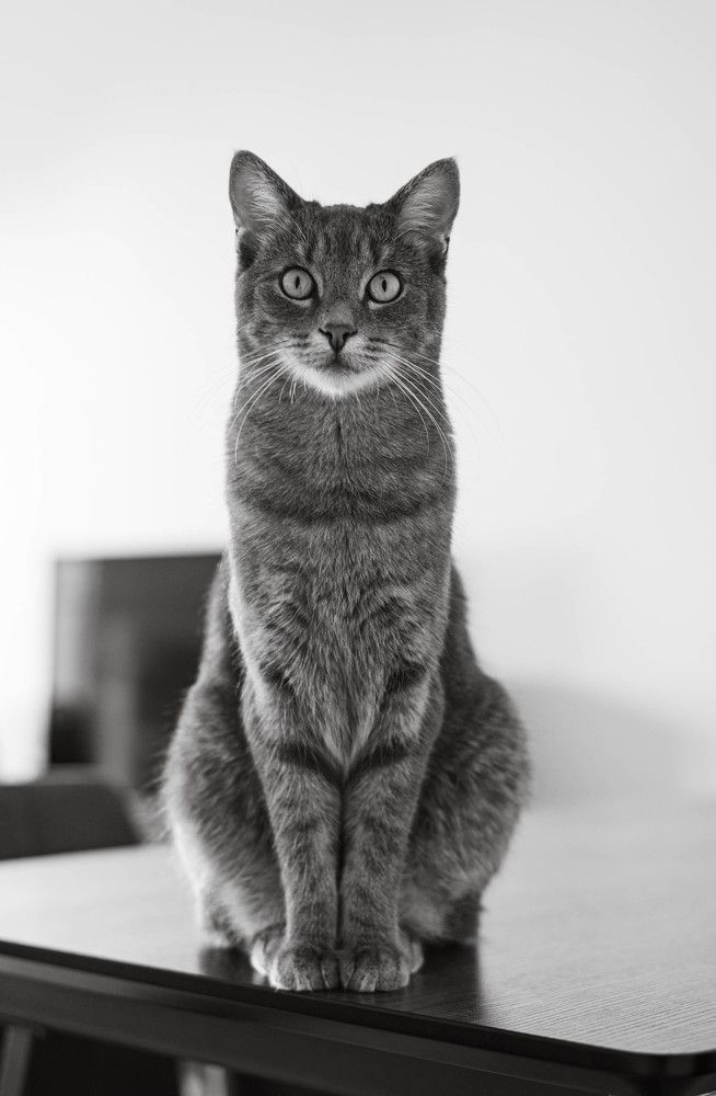 Photograph by Михаил Мамаев