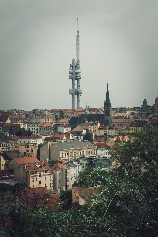 Photograph by Михаил Мамаев