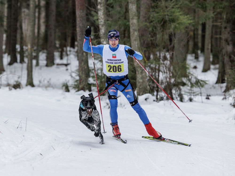 Photograph by Илья Юфа