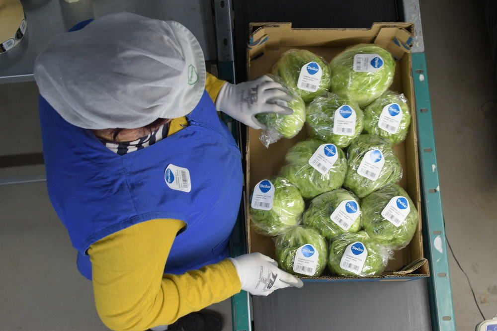 Photograph by Lucía Ruiz