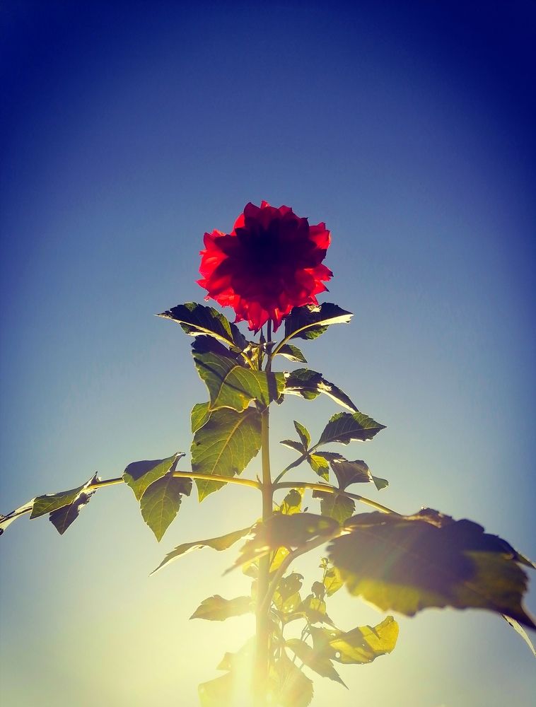 Photograph by Понкратов Иван