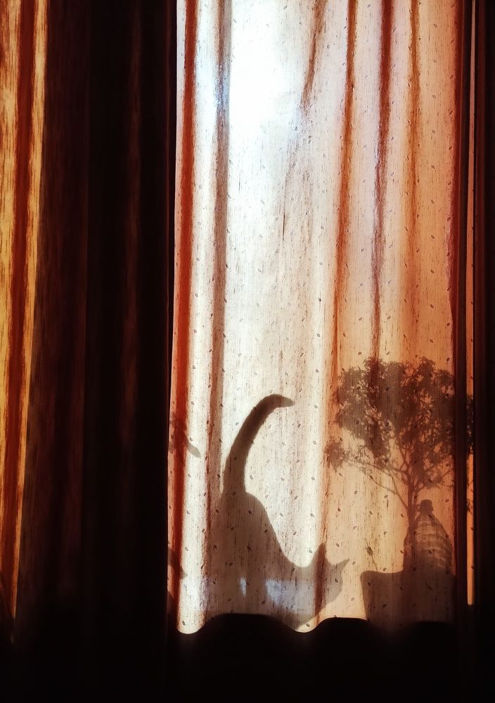 Photograph by Олеся Зеленщикова