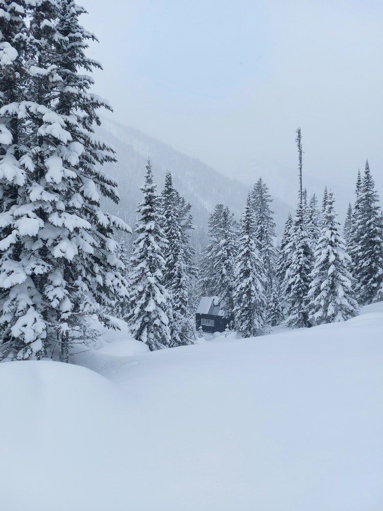 Photograph by Галина Беляева