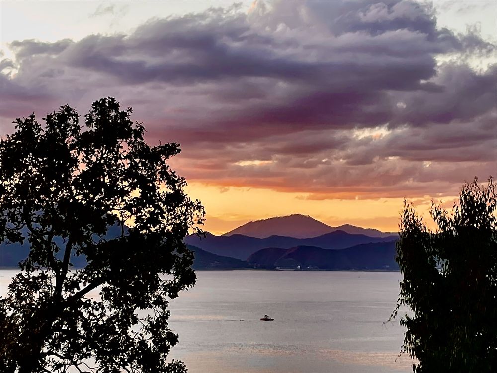 Photograph by Silvia Marcos