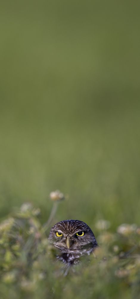 Photograph by Goutham Ganesh Sivanandam