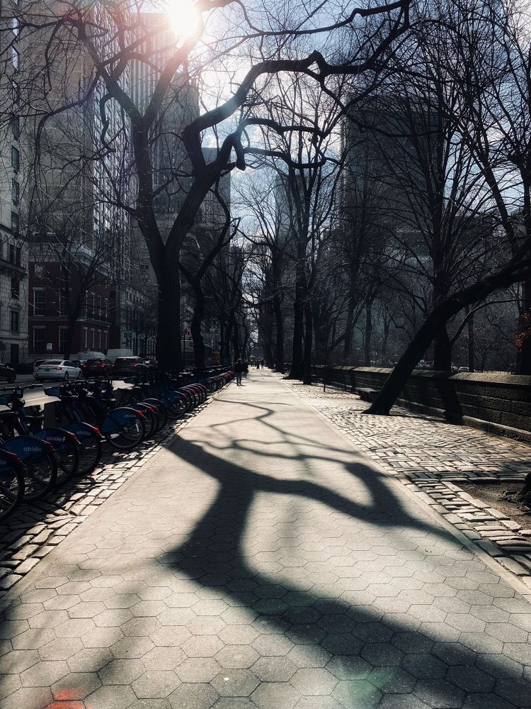 Photograph by Юлия Халяпина