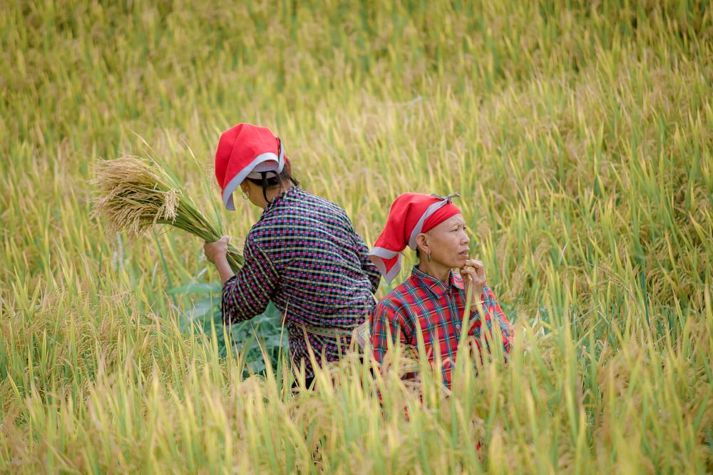 Фотография автора Trần Minh Thìn