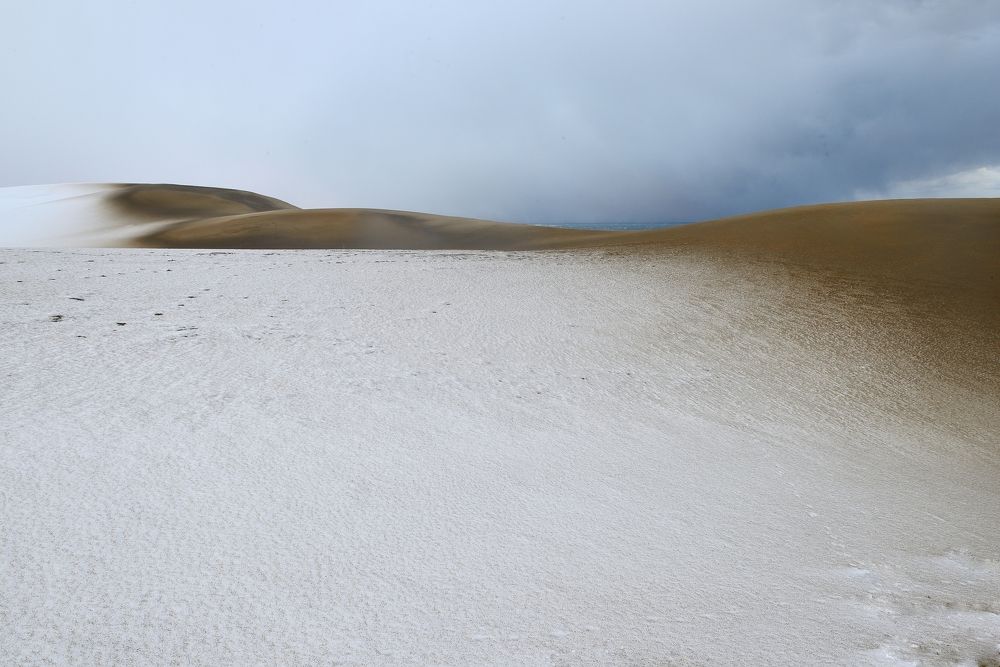 Photograph by Ohta Sigeki