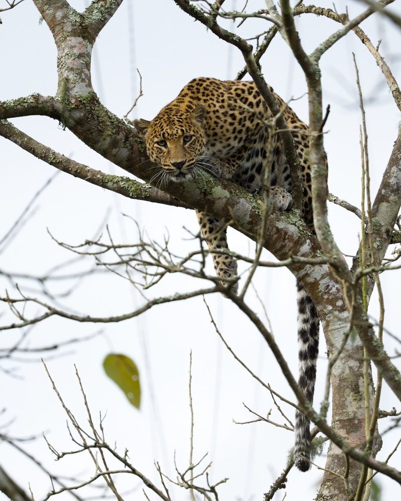 Photograph by Suvendu Bhattacharjee