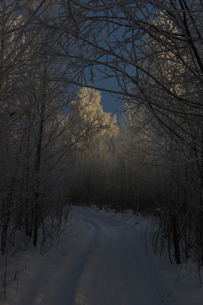 Photograph by Ольга Короткова