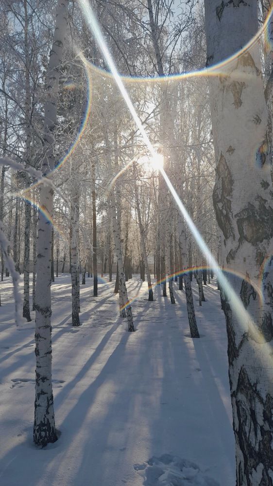 Фотография автора Анна Морозова