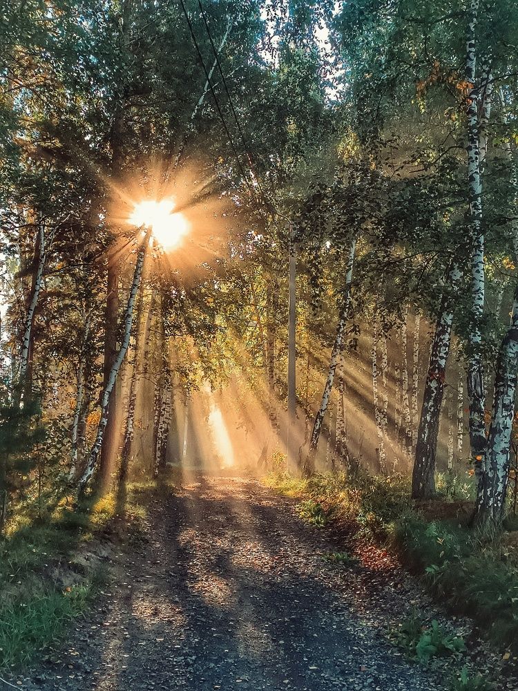 Photograph by Татьяна Cамсонова