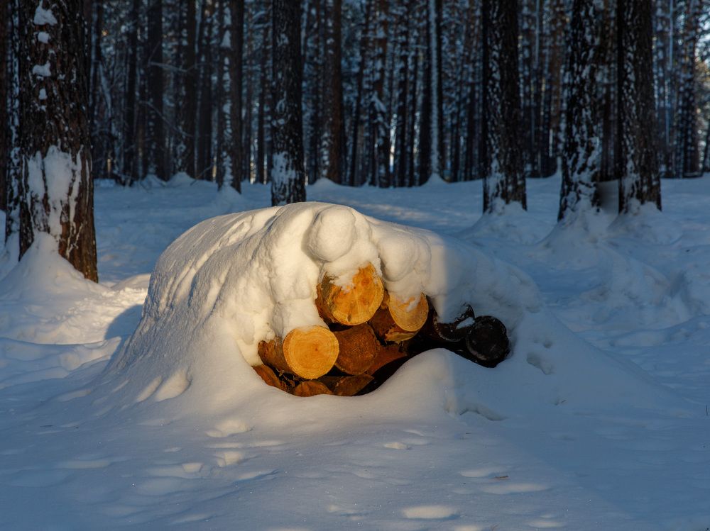 Photograph by Людмила Аксенова