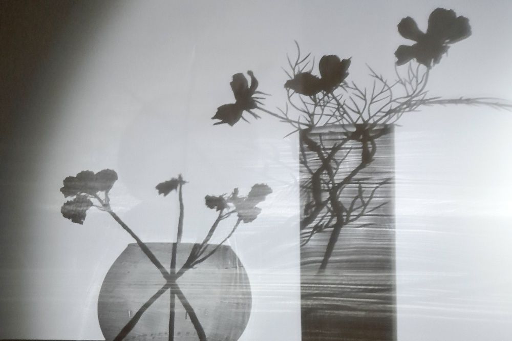 Photograph by Ольга Березовская