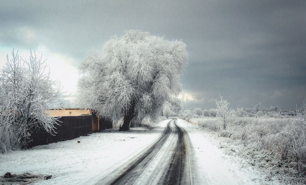 Photograph by Павел Дунюшкин