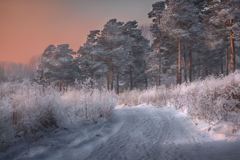 Розовый вечер