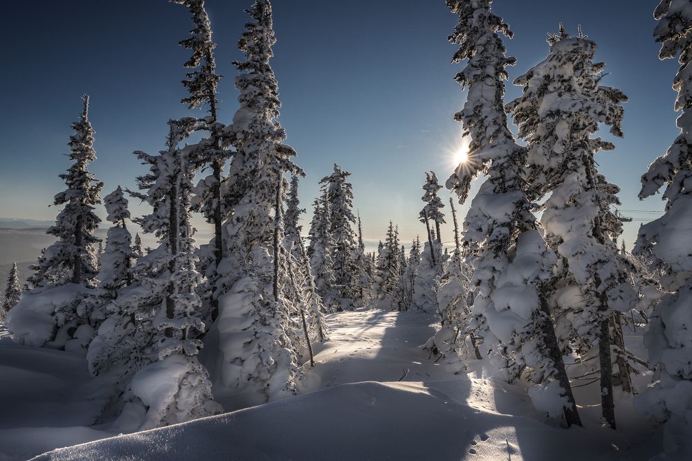 Снежный Шерегеш