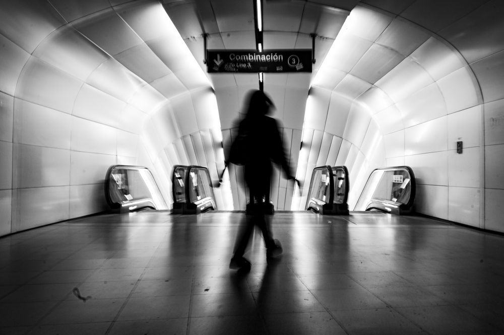 Photograph by Cifuentes Araya Bastián