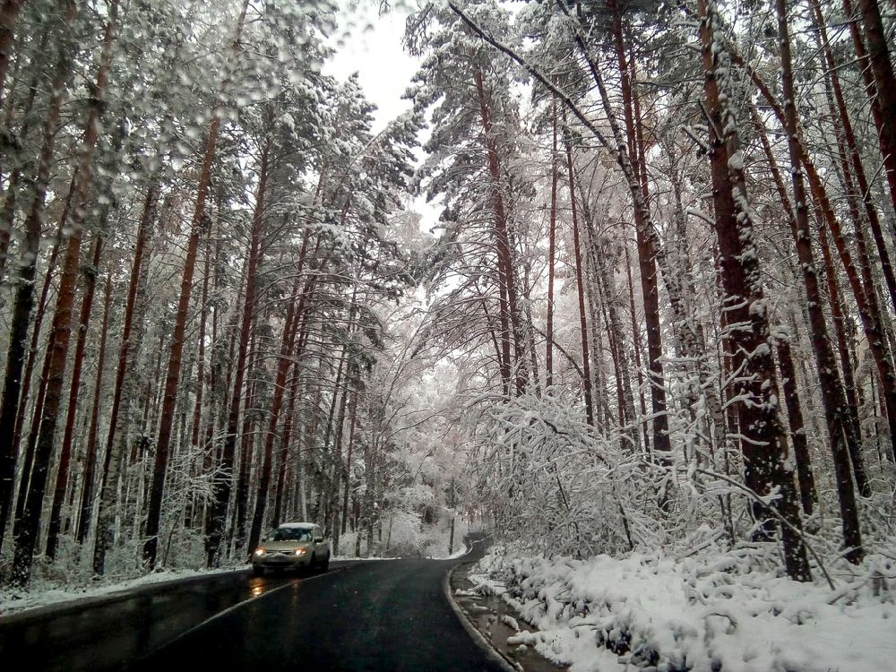 Photograph by Елена Алексеева