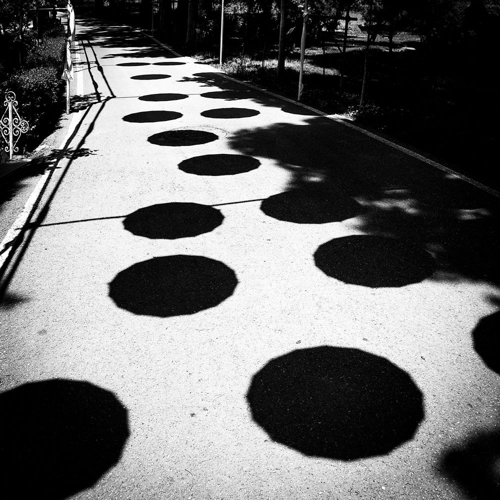 Photograph by ezat moradi