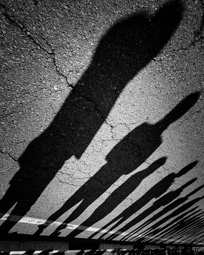 Photograph by Алексей Степаненко