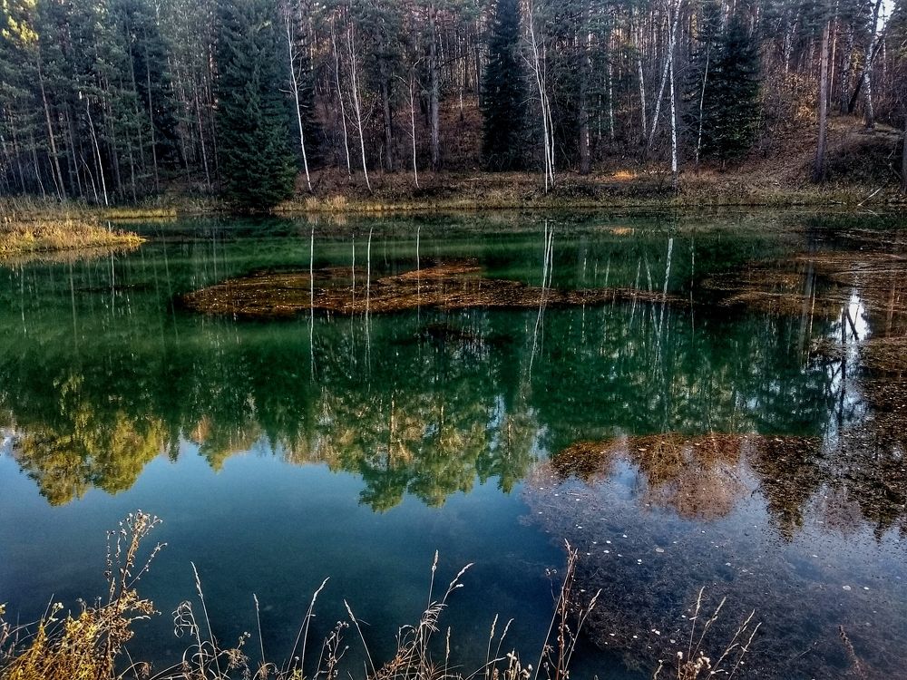 Photograph by Ольга Малина