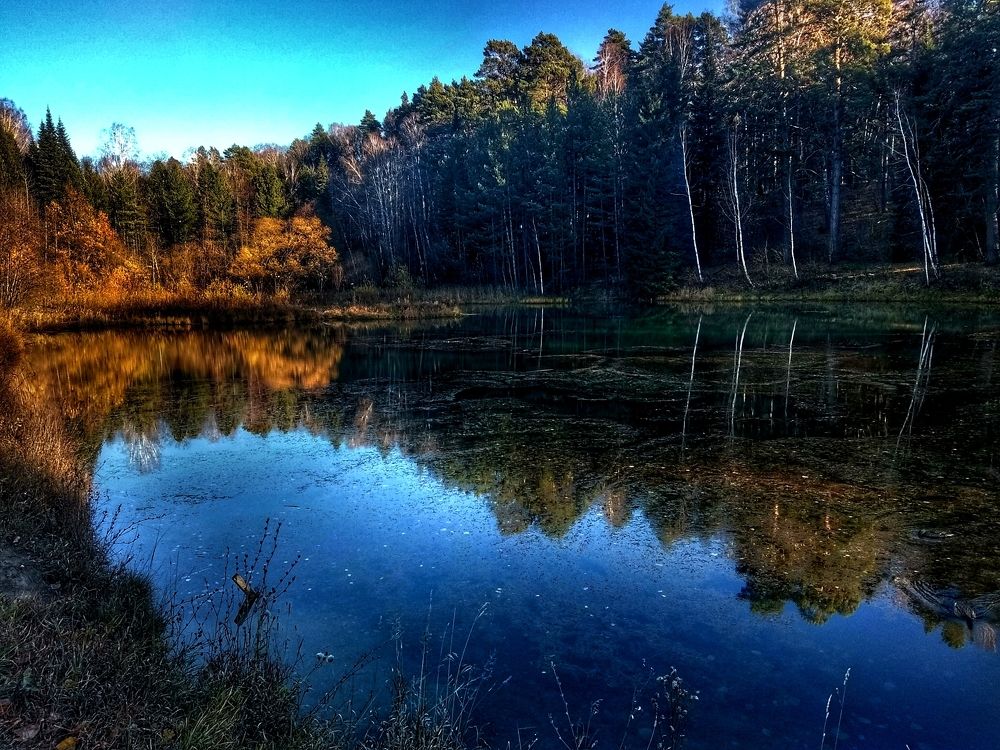 Photograph by Ольга Малина