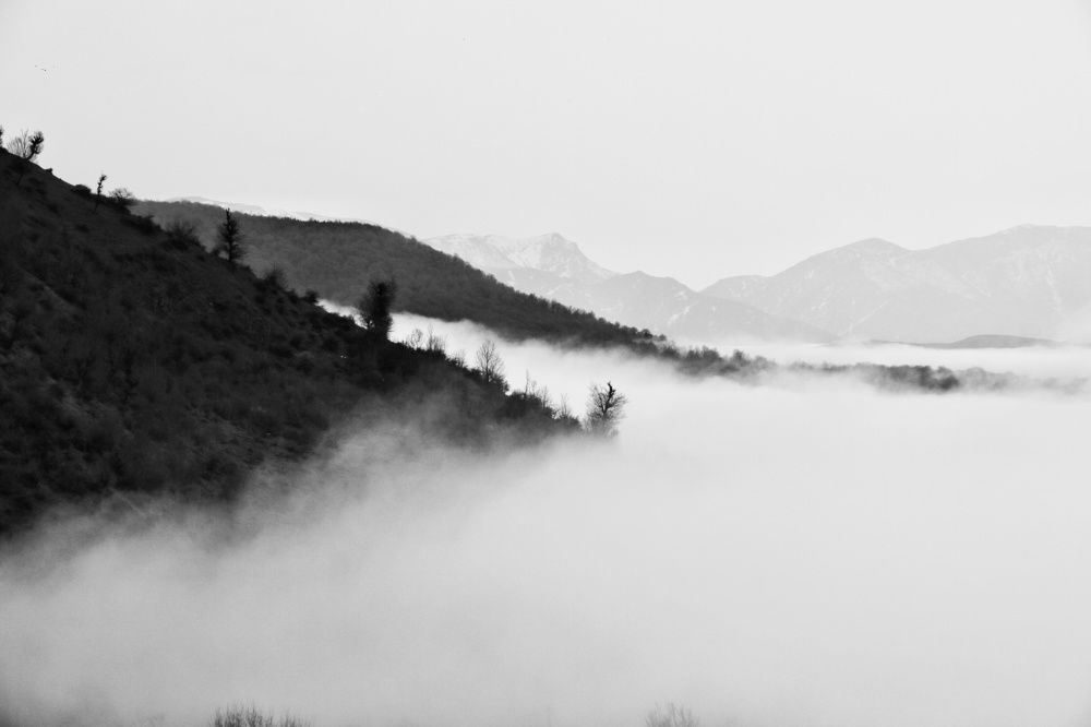 Photograph by Masoumeh Rahimi