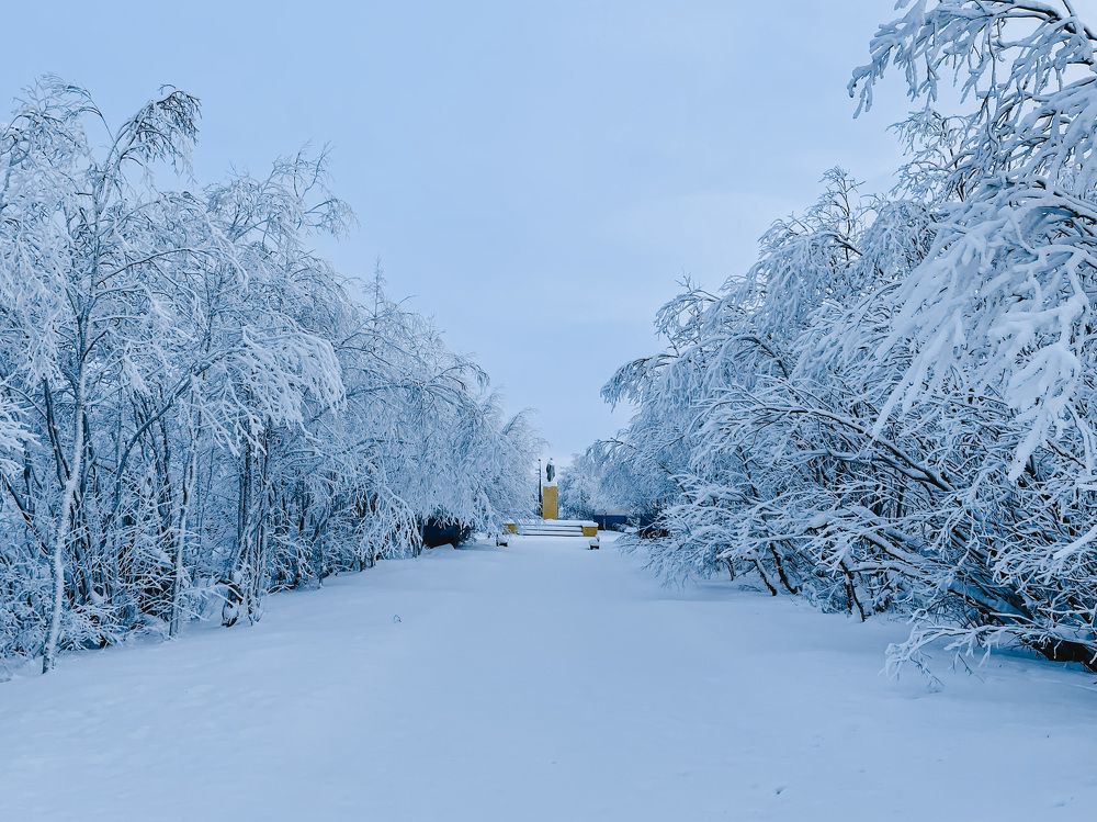 Photograph by Сергей Листопад