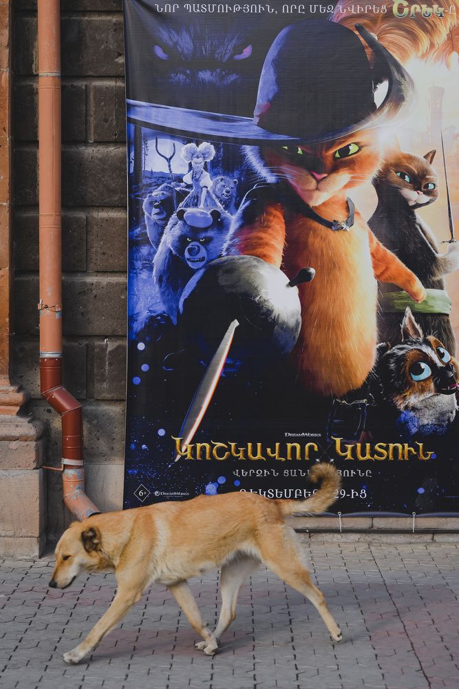 Photograph by Vazgen Asatryan