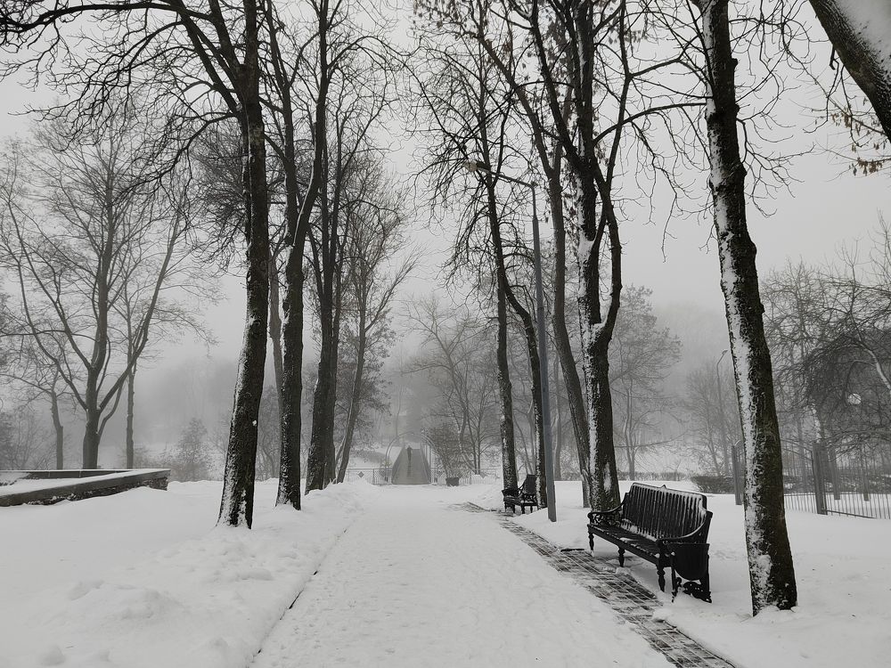 Photograph by Елена Мостовенко