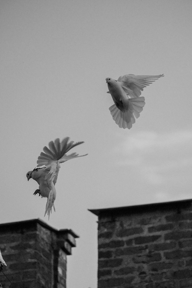 Photograph by Алексей Большаков