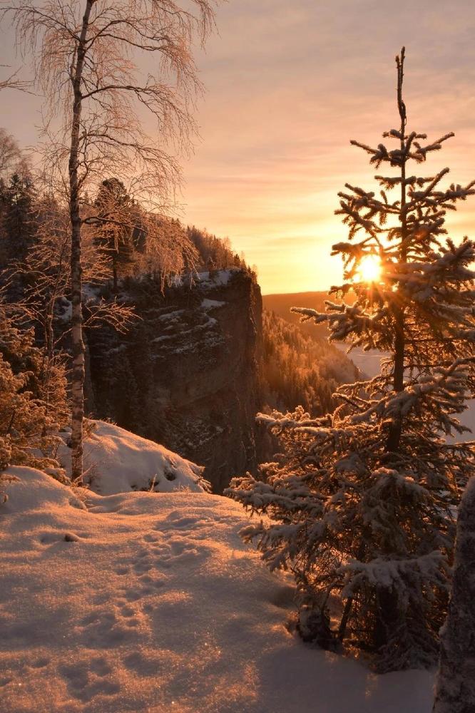 Photograph by Елена Миролюбова