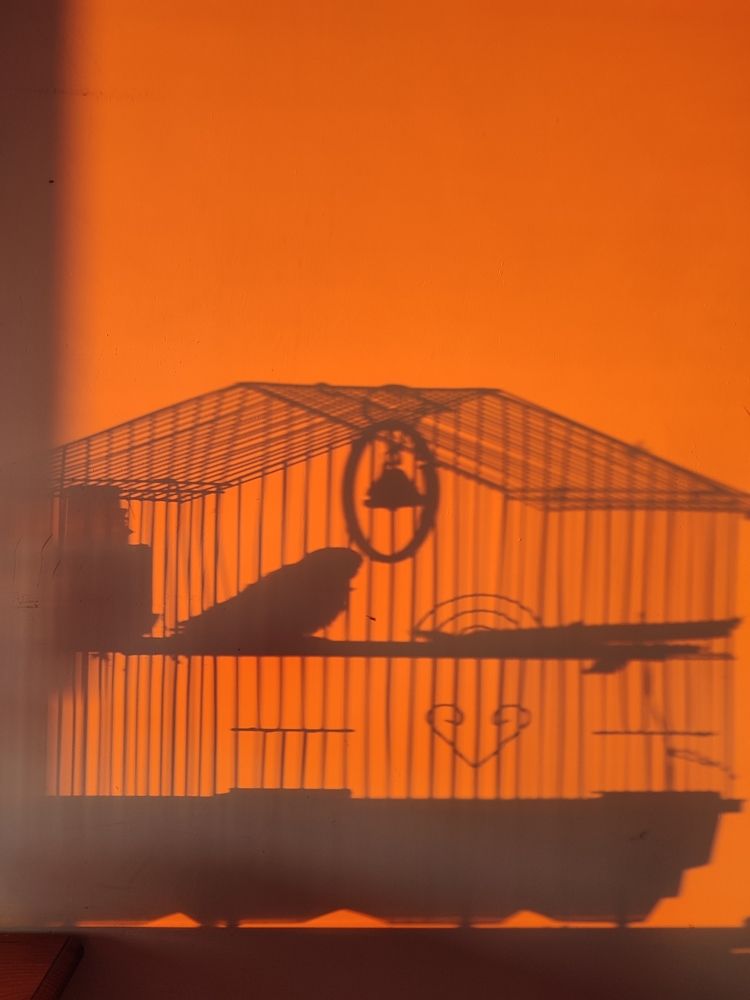 Photograph by Ольга Сучкова