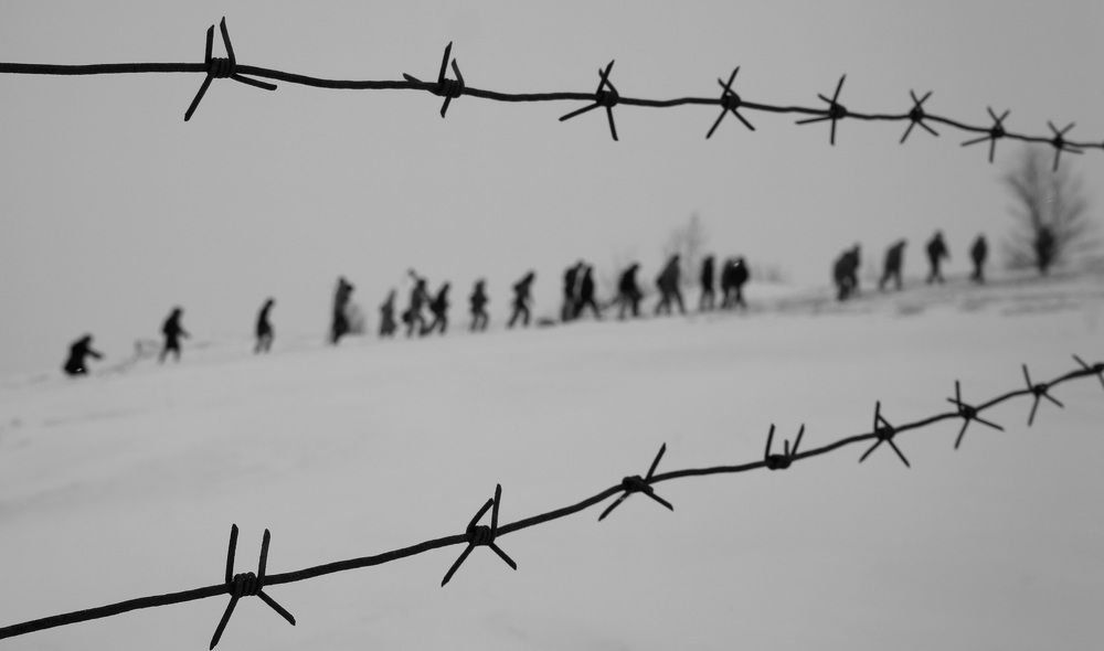 Photograph by Полина Кузаева