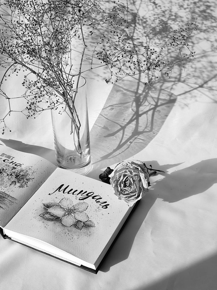 Photograph by Ольга Сучкова