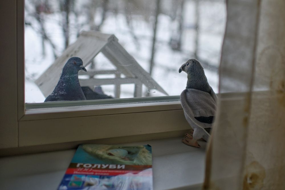 Photograph by Наташа Андреева