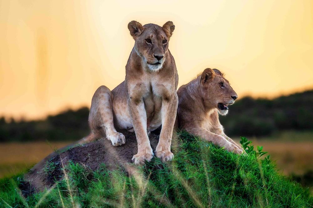 Photograph by Zubair Irshad