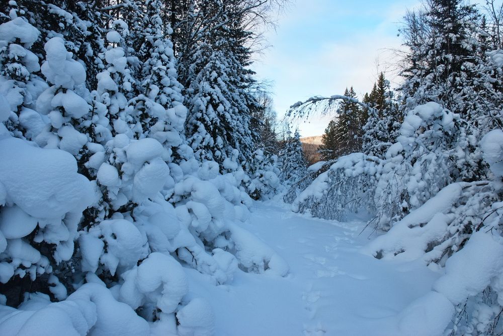 Фотография автора Сергей