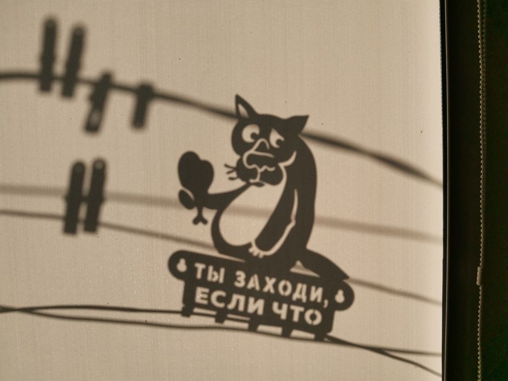 Фотография автора Шипунова Ирина