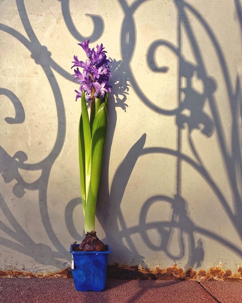 Photograph by Ирина Ветюгова